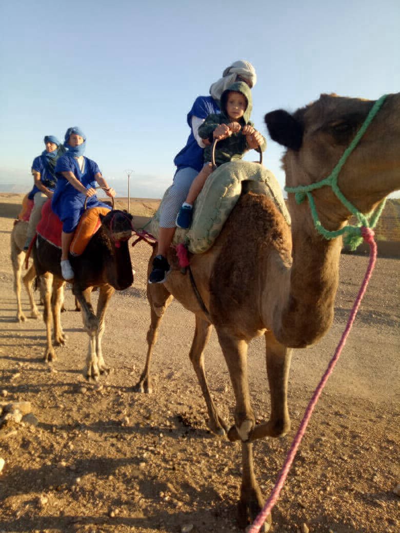 Guest camel experience in Morocco