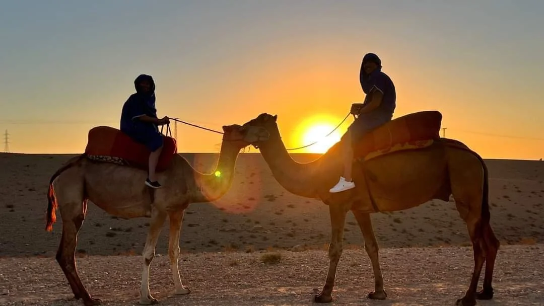 Camel riders at sunset