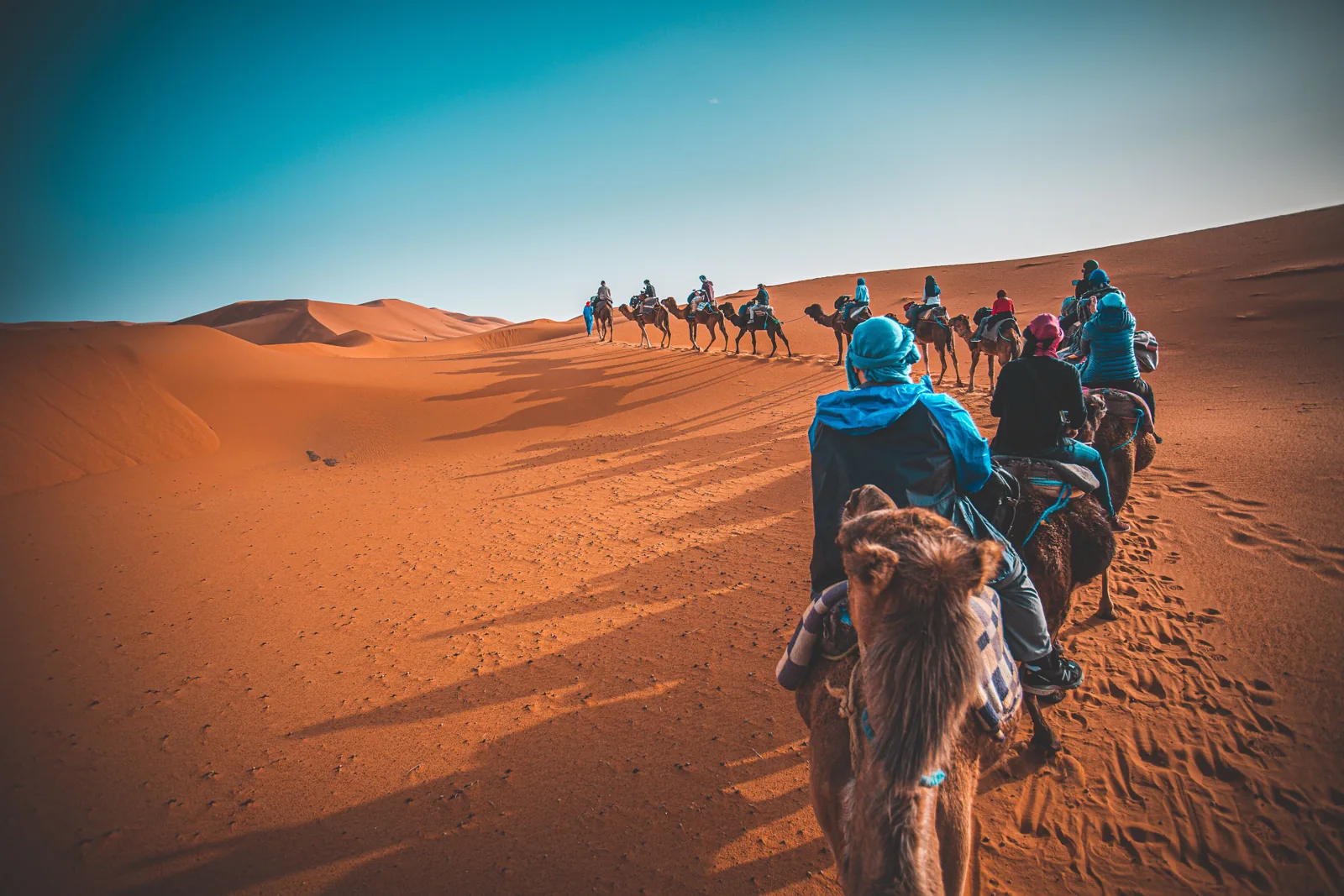 Camel caravan crossing the Moroccan dunes