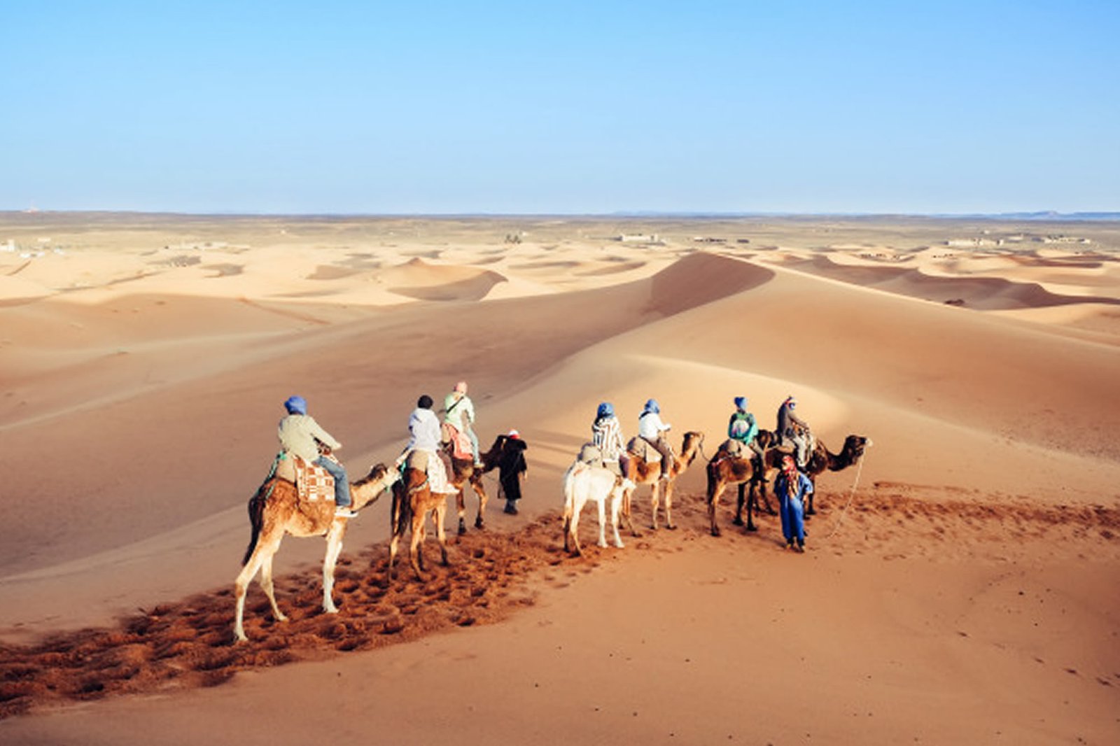 Camel journey experience in Morocco