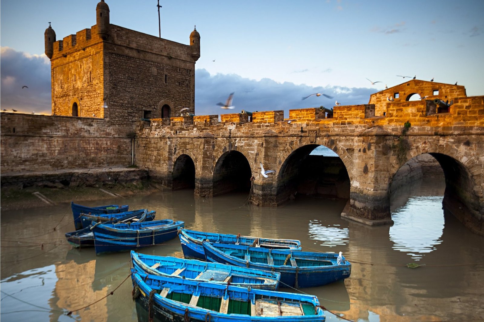 Porto di Essaouira durante un’escursione