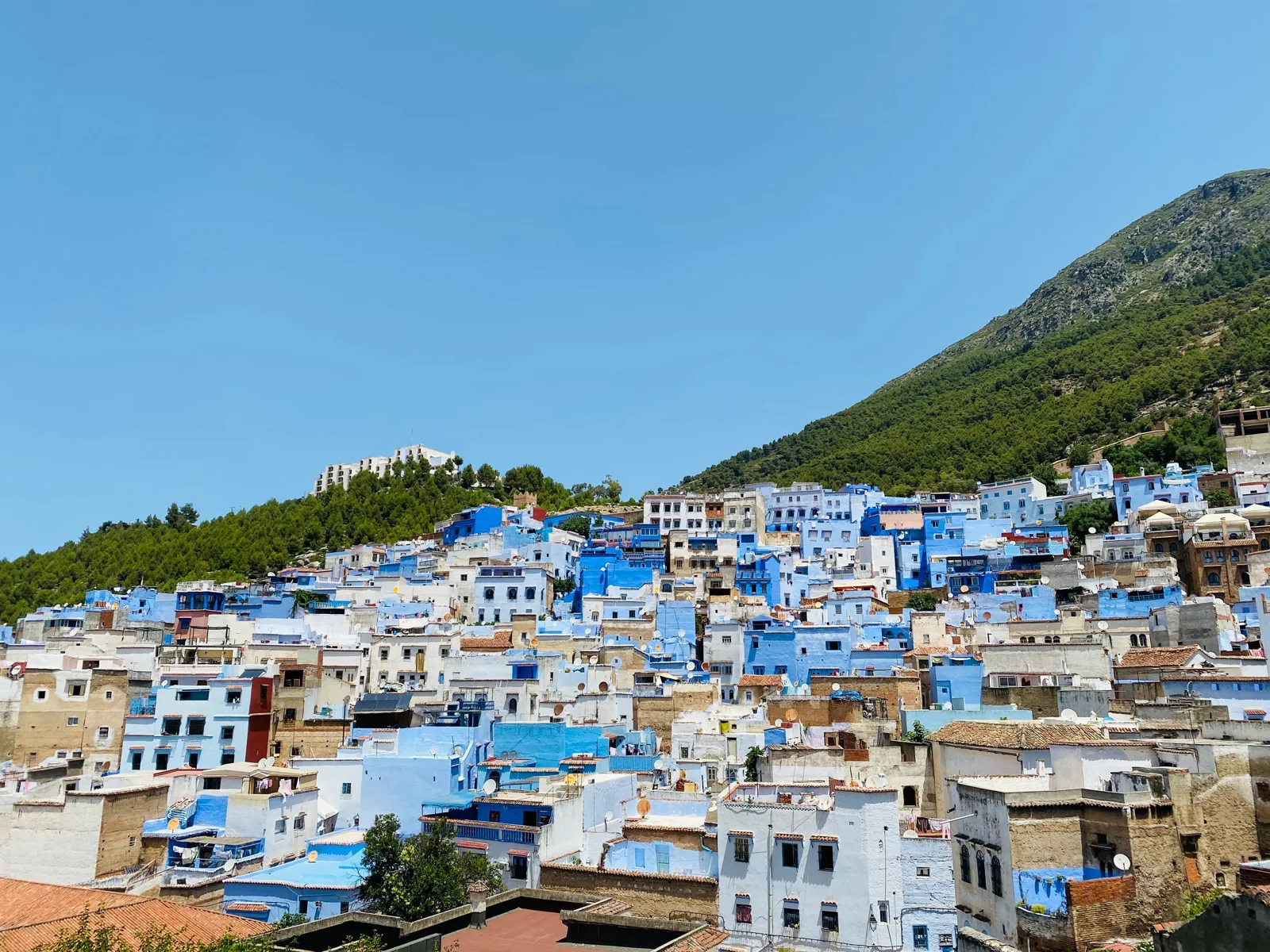 Blue and white hillside houses of Chefchaouen