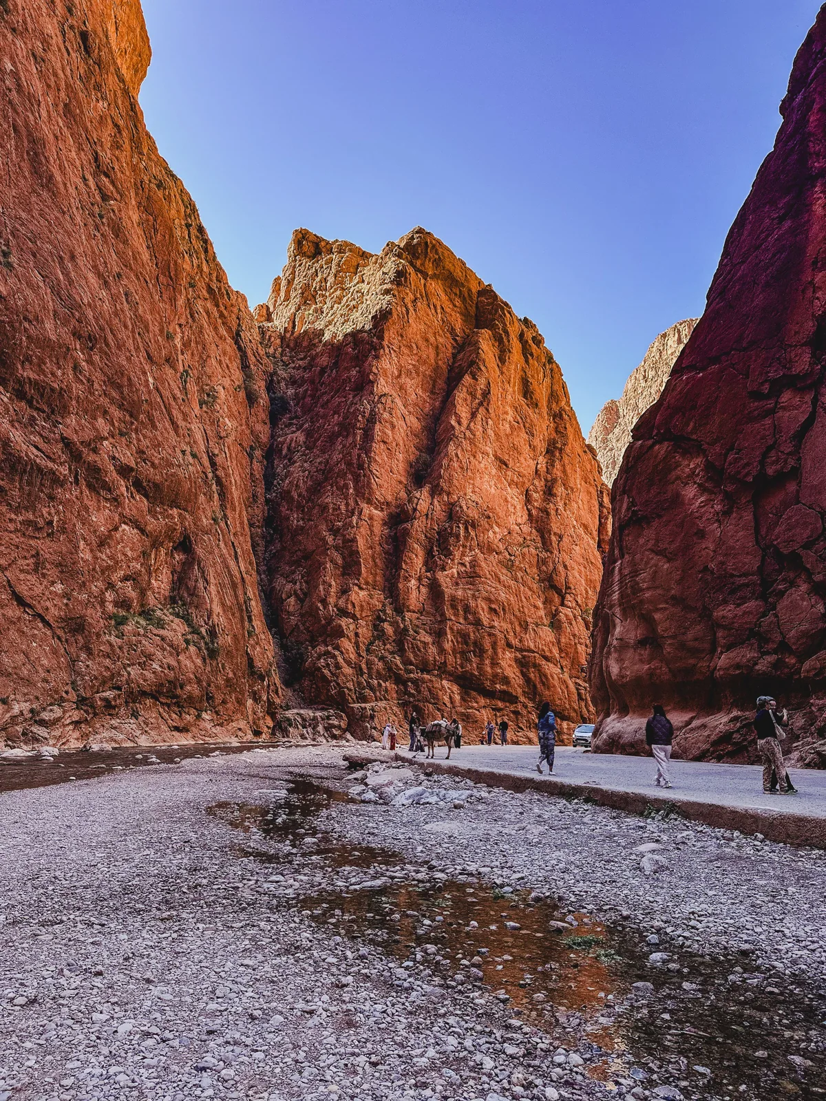 Visitors walking beside a stream between towering red canyon walls