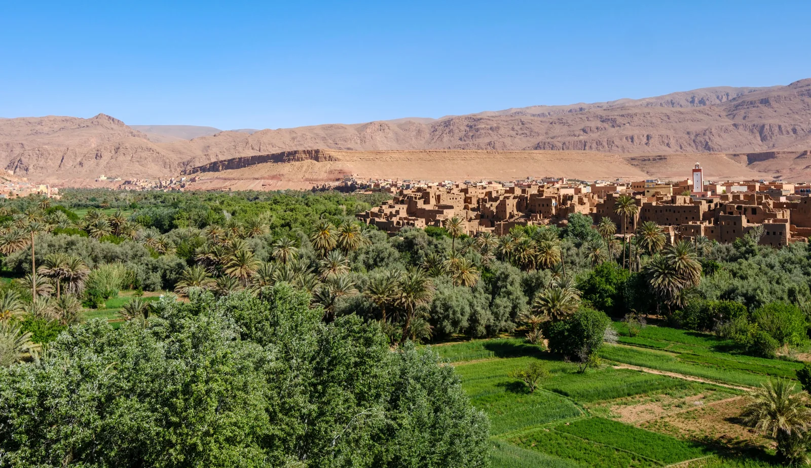 Palm oasis and traditional earthen village beneath rocky mountains in Tinghir