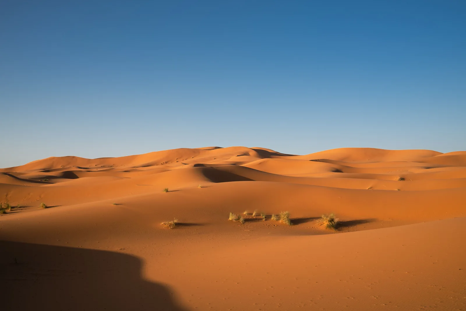 Golden sand dunes beneath a clear blue sky in Merzouga, Morocco