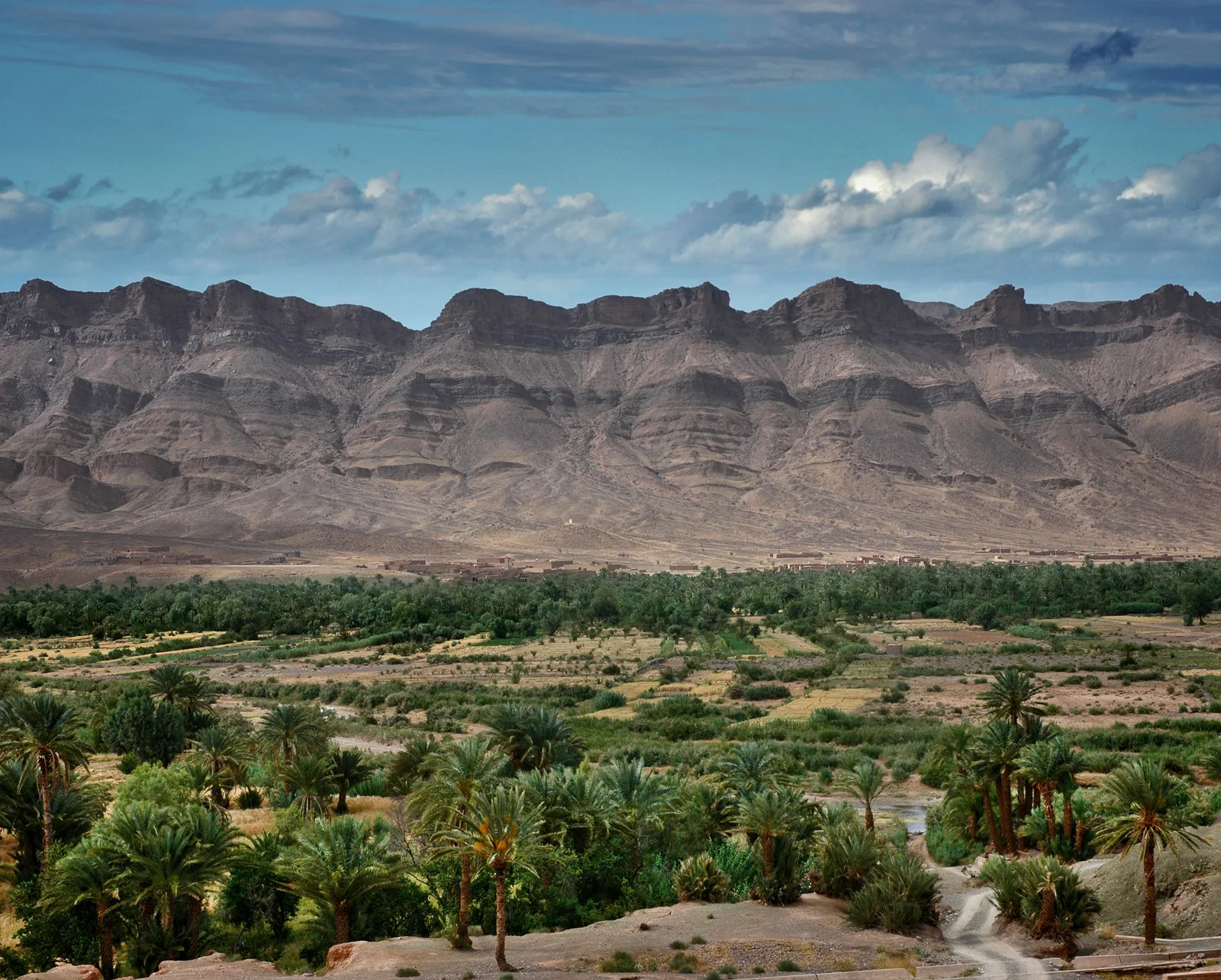 Palm grove beneath rugged mountains on the Zagora tour